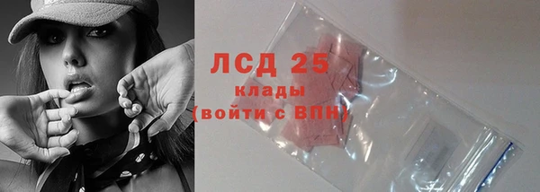 спайс Баксан