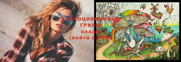 спайс Баксан