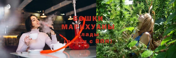 спайс Баксан