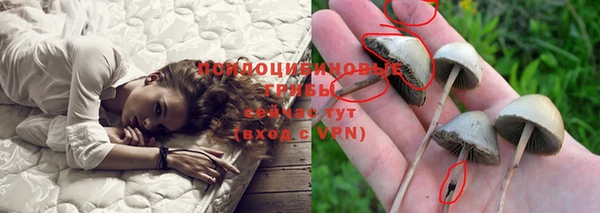 дживик Балабаново