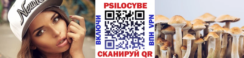 Галлюциногенные грибы MAGIC MUSHROOMS  darknet наркотические препараты  Петровск-Забайкальский 
